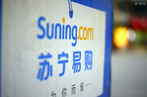 苏宁易购 从民营企业巨擘到零售业领军者