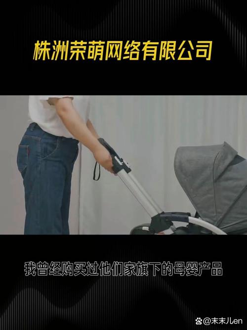 它的经营范围包括信息技术咨询服务,母婴用品销售,日用百货销售,网络